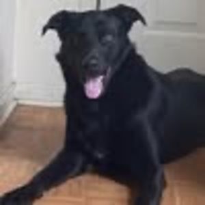 Meet your Posher, Kevin